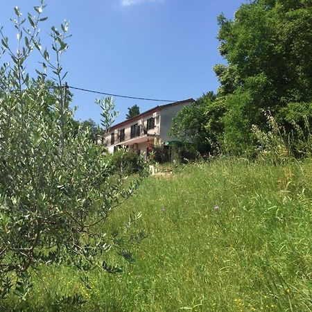 Apartment Cimbora, Salara Farmhouse Koper városi község Kültér fotó