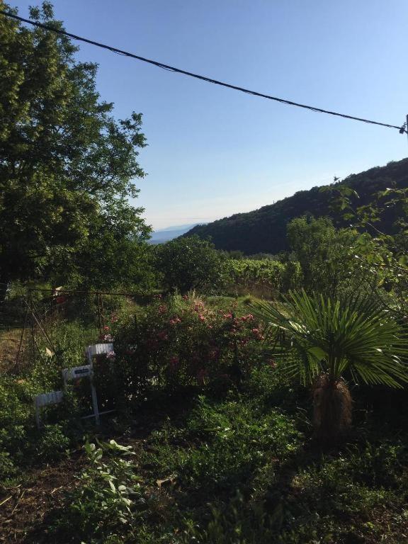 Apartment Cimbora, Salara Farmhouse Koper városi község Kültér fotó