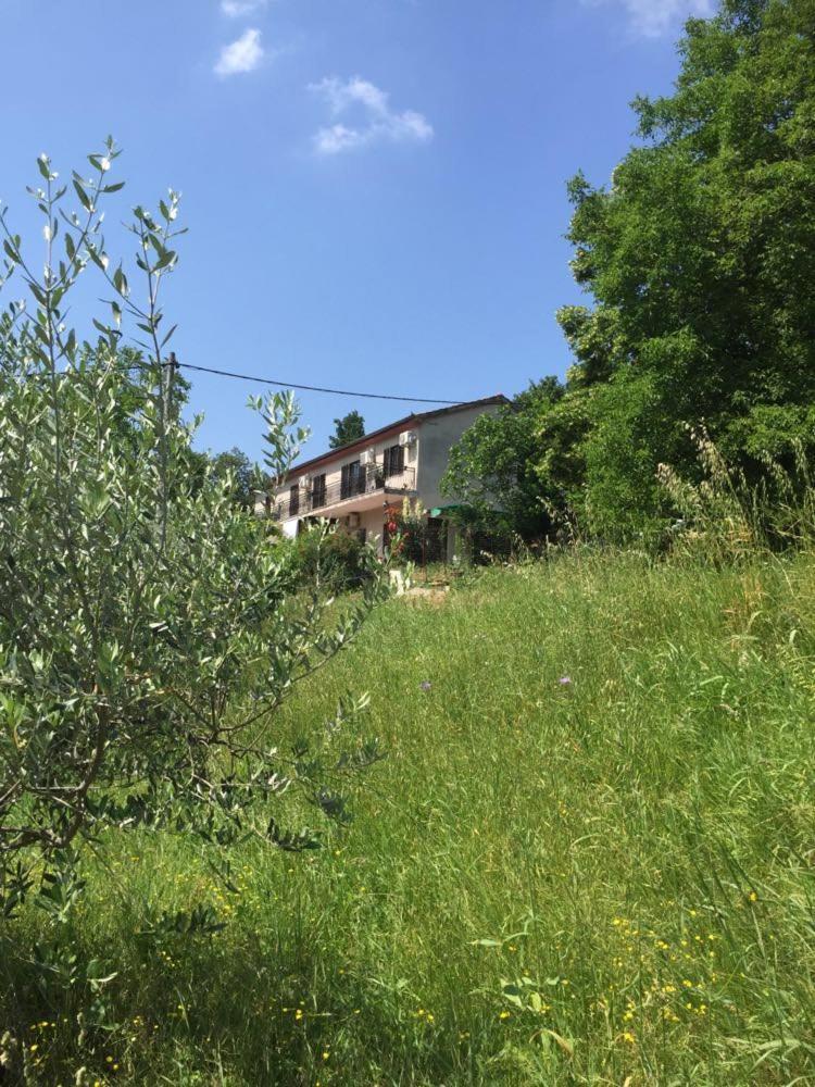 Apartment Cimbora, Salara Farmhouse Koper városi község Kültér fotó