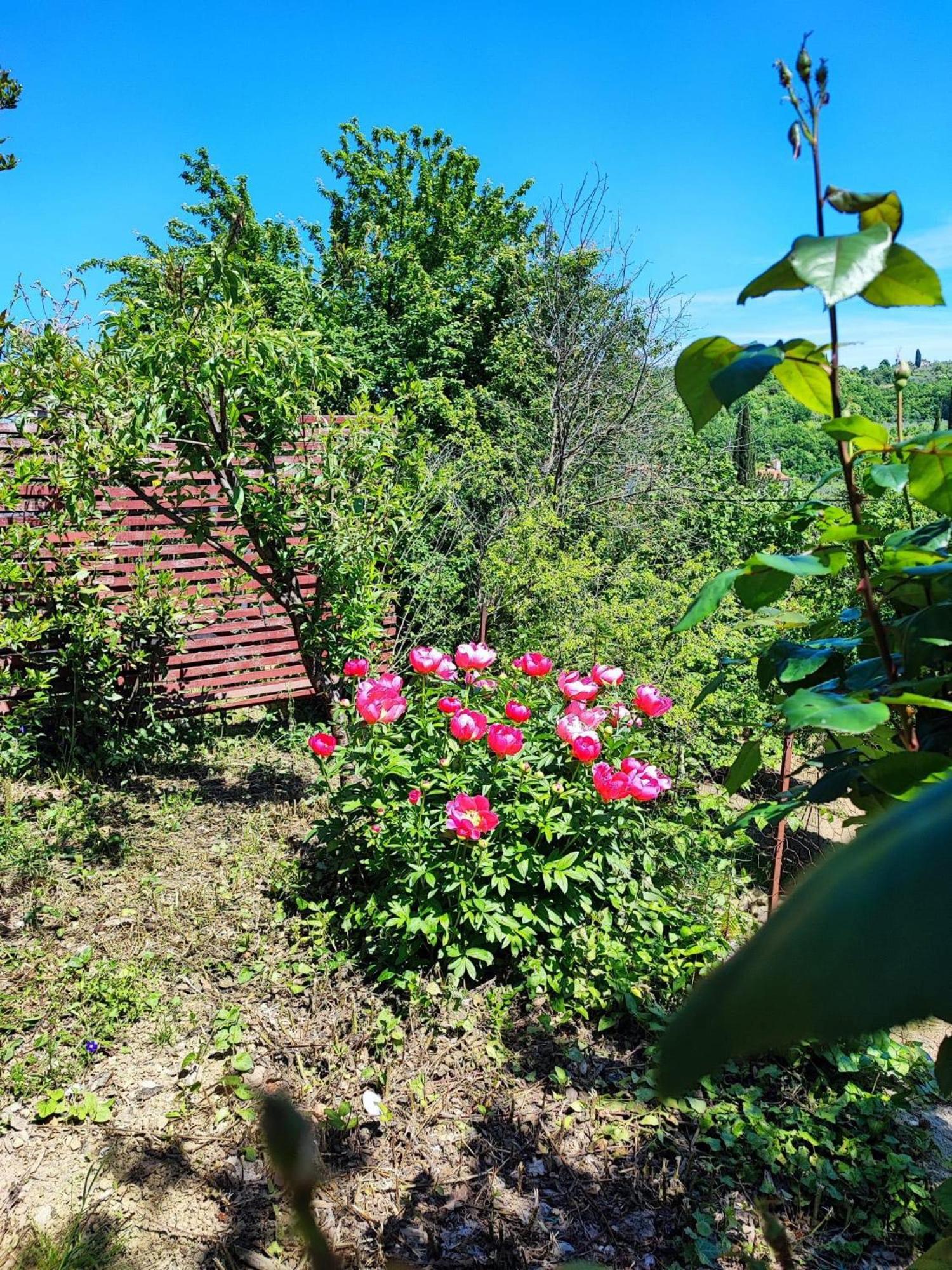 Apartment Cimbora, Salara Farmhouse Koper városi község Kültér fotó