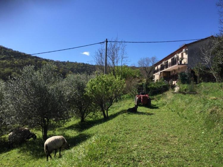 Apartment Cimbora, Salara Farmhouse Koper városi község Kültér fotó